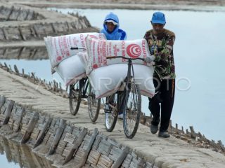 Investasi Pabrik Garam dan Tantangan Regulasi bagi Kesejahteraan Petani