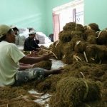 Gerbang Ekonomi Baru Madura: Muncul dari Bawah, Terhambat dari Atas