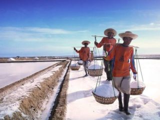 Petani Garam di Tengah Kebijakan Impor, Ketiadaan HPP, dan Problem Persaingan