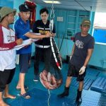 Kekayaan Laut Madura yang Belum Berpihak pada Nelayan: Catatan dari Ekspor Kerapu Pulau Sapeken