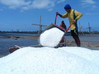 Paradoks Anjloknya Harga Garam di Sampang di Tengah Kemarau Panjang