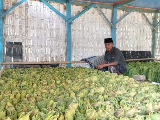 Tembakau Campalok: Kaya Potensi, Minim Riset